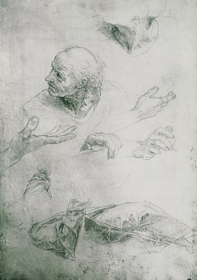 Studies for the Figure of Bramante by Raffaello Sanzio Raphael